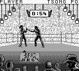 Best of the Best - Championship Karate (Europe) In game screenshot